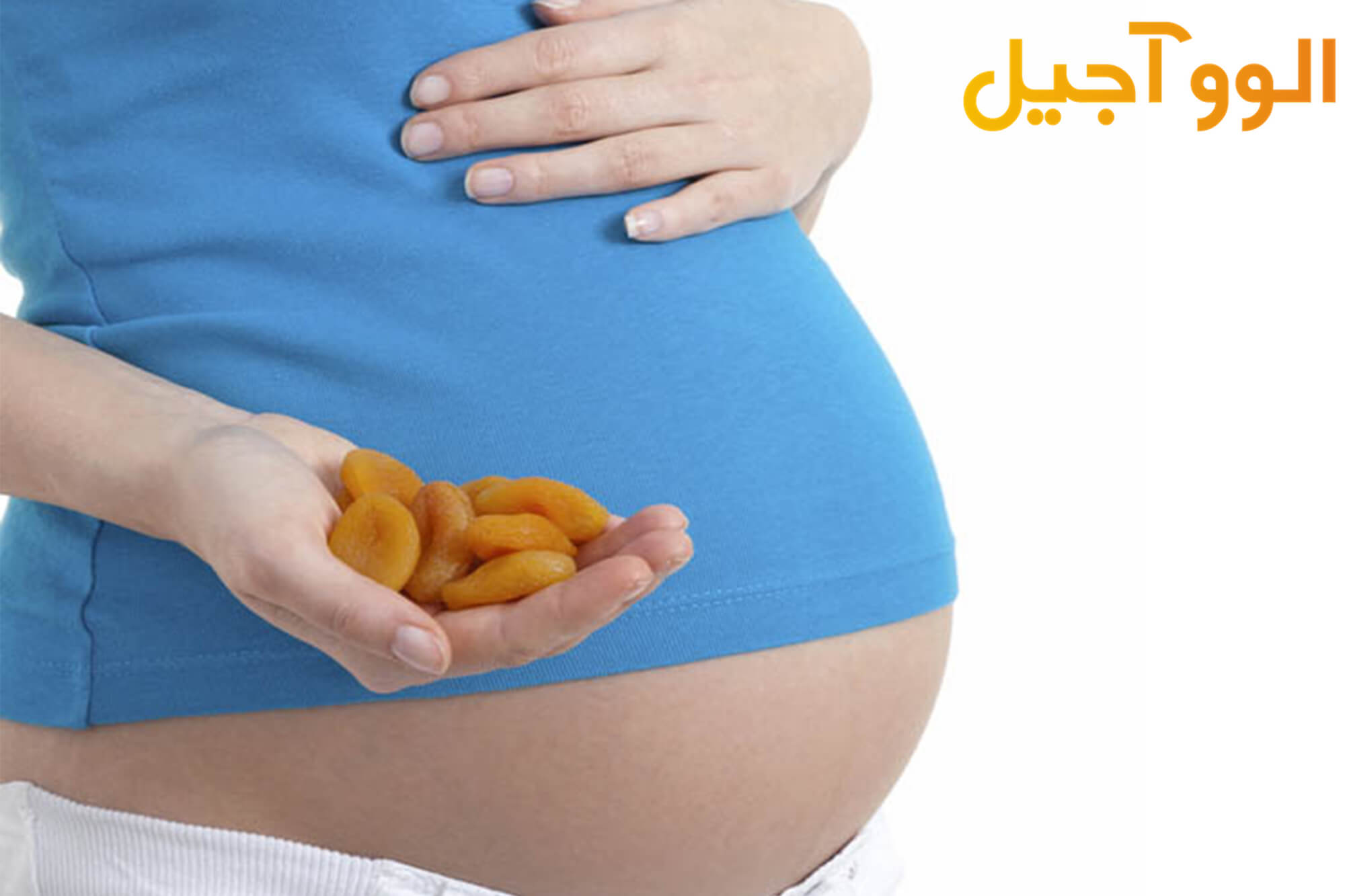 میوه خشک در بارداری