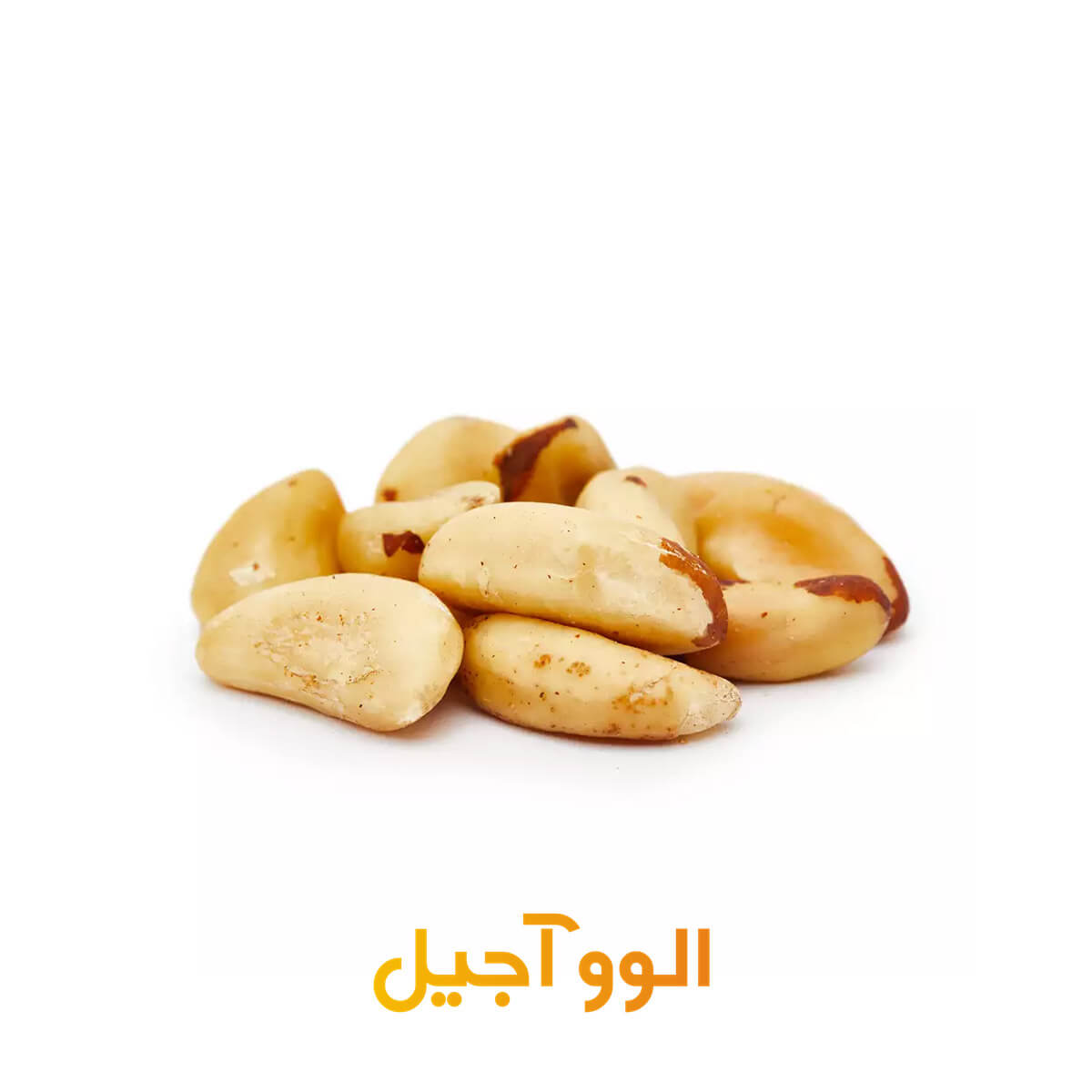 قیمت و خرید بادام برزیلی خام درشت [ارسال رایگان]